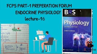 mineralocorticoid secreations and function  BRS PHYSIOLOGY LECTURE [upl. by Cleopatra148]