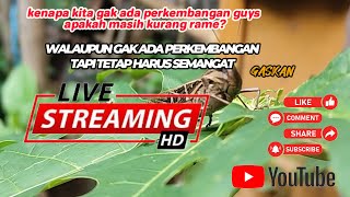 Tatangvlog sedang live sekarang [upl. by Crespi]