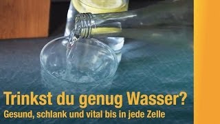 Wie viel Wasser trinken Bei Sport und im Büro Die richtige Menge Wasser hält fit vital und gesund [upl. by Eltsryk]