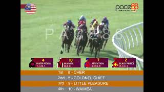 20240810  Race 6 Malaysia Selangor Horse Racing Highlights  Pace88 Horse [upl. by Sidwohl387]