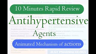 Antihypertensive drugs pharmacology classification mechanism of action [upl. by Leonidas]