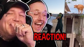 TRY NOT TO LAUGH mit Monte amp zarbexlive 🤣 Unusual Memes Reaktion  MontanaBlack Reaktion [upl. by Kotick]