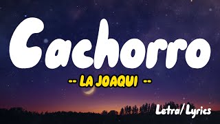 Cachorro  Letra  Lyrics   LA JOAQUI [upl. by Aligna665]