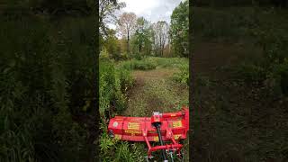 L2501 brush mowing with the Del Morino Funny Top Flail Mower [upl. by Donielle]