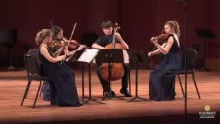 Haydn String Quartet in Bflat Major Op 76 No 4 Movement I Allegro con spirito [upl. by Ynoffit]