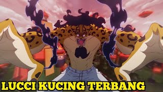 🔴LIVE Miaw Meong Meaw  One Piece Bounty Rush [upl. by Oberheim21]