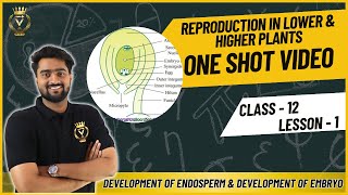 Class 12 Biology Chapter 1 Reproduction in Plants  One Shot  Ace Your Exams [upl. by Annaet]