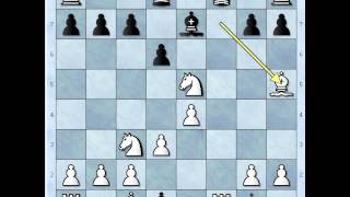 Becki gambit igran kao valcer  ZUKERTORT vs NN  483 [upl. by Aivatnahs]