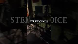 Stereo VOICE B studio guitar bass drums stereovoice [upl. by Ailla413]