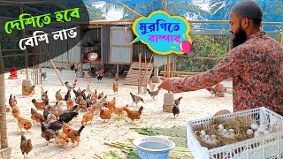 দেশি মুরগি খামার  এখন দেশিতে হবে বেশি লাভ  Desi Murgi Palan  কৃষি ঘর [upl. by Atidnan119]