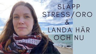 Släpp stressoro och landa här och nu 10 min guidad meditation  Livs Mindfulness [upl. by Litnahc]