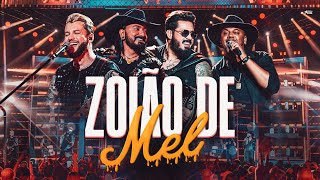 Traia Véia  Zoião de Mel  DVD Ao Vivo em São Paulo [upl. by Izak512]