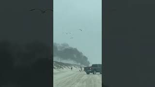 Golf Cart on Fire Spring Break 2024 Port Aransas TX [upl. by Sairahcaz86]