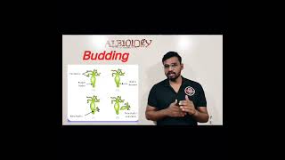 Budding  Hydra  Asexual reproduction  viral short  Avinash sir [upl. by Rosanne403]