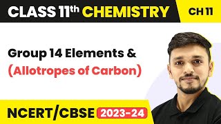 Class 11 Chemistry Ch 11  Group 14 Elements Allotropes of CarbonThe pblock Elements [upl. by Ayotaj886]