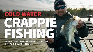 CRAPPIE Fishing Targeting BIG Crappie with LIVESCOPE [upl. by Rawdon460]