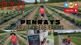 New Zealand Fruit and Vege Farm  Penray Garden  Otaki  Wellington [upl. by Diandre]