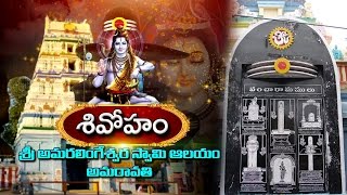 Shivaratri Special  Sri Amaralingeswara Swamy Temple in Amaravathi  Vanitha TV [upl. by Dituri]