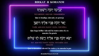 Birkat Kohanim Canta The Levites [upl. by Nelleh]