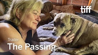 THE PASSING Trailer  TIFF 2023 [upl. by Adnahcal481]