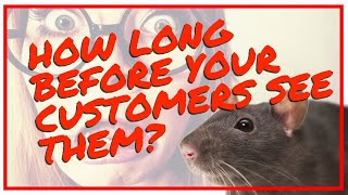 Restaurant Rat Removal Screen Door Mice Pest Control Vendors Dumpster Melbourne [upl. by Aikenahs]