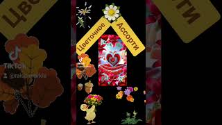 In the World of Flowers⚘️ В мире Цветов cool ⚘️youtubeshorts wow ownlyrics creative [upl. by Polly]