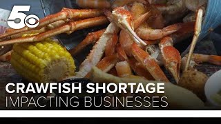 Crawfish shortage impacting Arkansas businesses [upl. by Suckow]