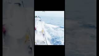 Seismic sea waves 🌊 seashanties shortvideo foryou [upl. by Remsen981]