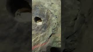 Undetonated DYNAMITE in a Mine abandonedmines arizona rockhounding geology metaldetecting [upl. by Eceeryt]