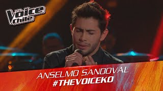 The Voice Chile  Anselmo Sandoval  Te Amaré [upl. by Candide377]