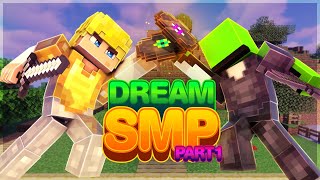 Dream SMP The Complete Story  Part 1 [upl. by Yltnerb]