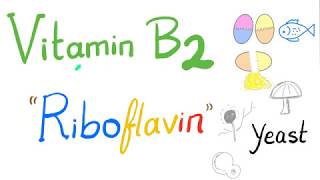 Riboflavin Vitamin B2 🥚 🐟 🍄 [upl. by Gnas254]