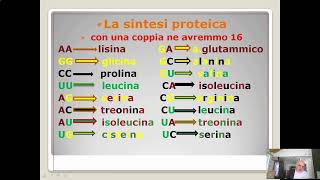 Itinerario di biologia la sintesi proteica1 [upl. by Euqnom951]