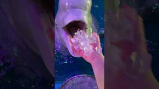 It’s time to eat Beluga whale eats fish Beluga whale eating ice Little fish in Hutan [upl. by Rol]