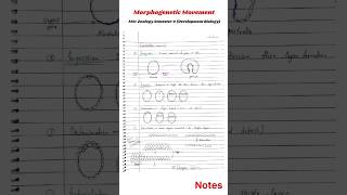 Morphogenetic Movement in Gastrulation  developmentalbiology [upl. by Slater530]