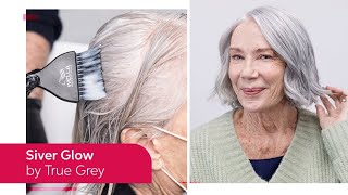 How To Do an Express Silver Glow Service by True Grey to Make Grey Hair Shine  Wella Professionals [upl. by Eisserc633]