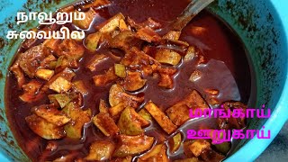 மாங்காய் ஊறுகாய் ஒரு வருஷமானாலும் கெட்டுப்போகாதுMango Pickle recipe in tamil Mangai Oorugai👌😋👌 [upl. by Gaughan]