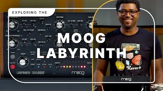 Exploring Generative Synthesis with the Moog Labyrinth [upl. by Niloc875]