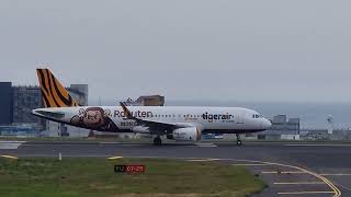 tigerair b50006 Rakuten monkeys takeoff in jeju airport [upl. by Celka]