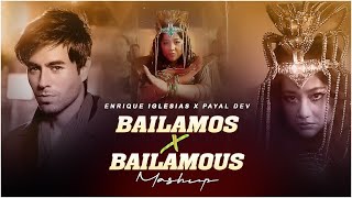 Bailamos Mashup  HipHop Mix  Enrique Iglesias X Payal Dev   Badshah  Aura  2024 [upl. by Yob825]