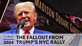 US election Has Trump alienated swing voters after Madison Square Garden rally [upl. by Minier]