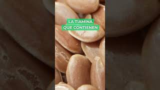 5 Alimentos Ricos En VITAMINA B1 Tiamina  BRAIN FOOD  Español [upl. by Felicio]