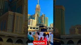 Shahe madina khanakabaa urdu saudiarabia funny balveerwala cartoon comedy muslimstatus jumm [upl. by Kinemod]