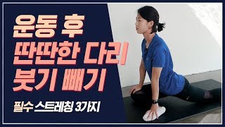 스쿼트 하는데 다리가 두꺼워지는것같다면 하체스트레칭하체다이어트ㅣ다노티비 [upl. by Drucie]