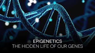 Epigenetik Genlerimizin Gizli Yaşamı  Epigenetics The Hidden Life Of Our Genes 2009 [upl. by Held]