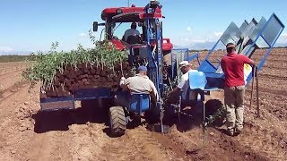 Plantación mecanizada de olivos almendros y vid  Mechanized plantation of olive almond and vine [upl. by Akemehc278]