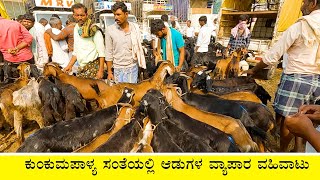 Goats on sale in Kunkumpalya market [upl. by Borroff674]