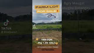 FARM LOT FOR SALE NASUGBU BATANGAS NQURE NOW 📞09778058991 [upl. by Schriever]