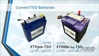 EarthX Batteries  2024 SUN ‘n FUN Innovation Preview [upl. by Nerac]