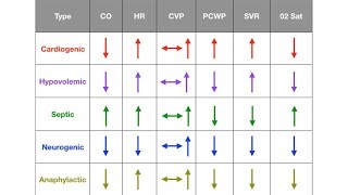 Types of Shock Cardiogenic Hypovolemic Septic Neurogenic Anaphylactic [upl. by Hephzipah]